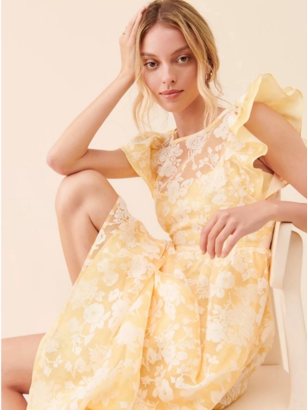 En Saison Marais Floral Organza Lace Midi Dress Size XS